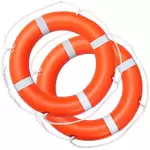 Ladwa Plastic Floating Ring for Swimming Safety, LSI - LB